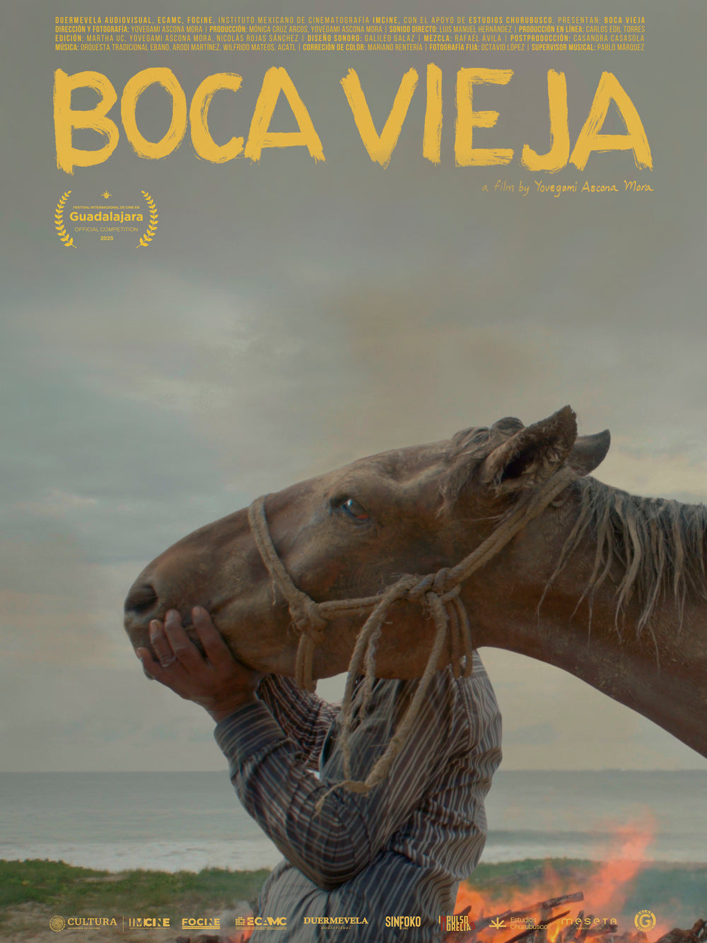 Boca Vieja